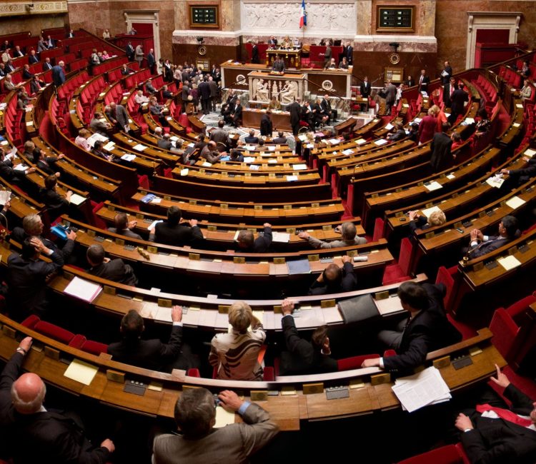 assemblee nationale - ratifica
