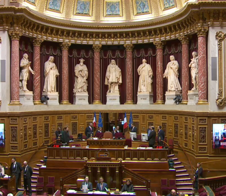 senat ratification iter