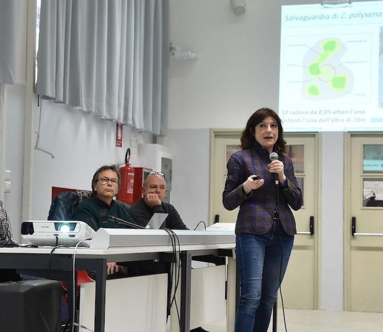 TELT_Conferenza_stampa_corridoio_eco_2019