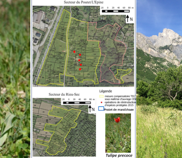 Saint-Julien-Montdenis