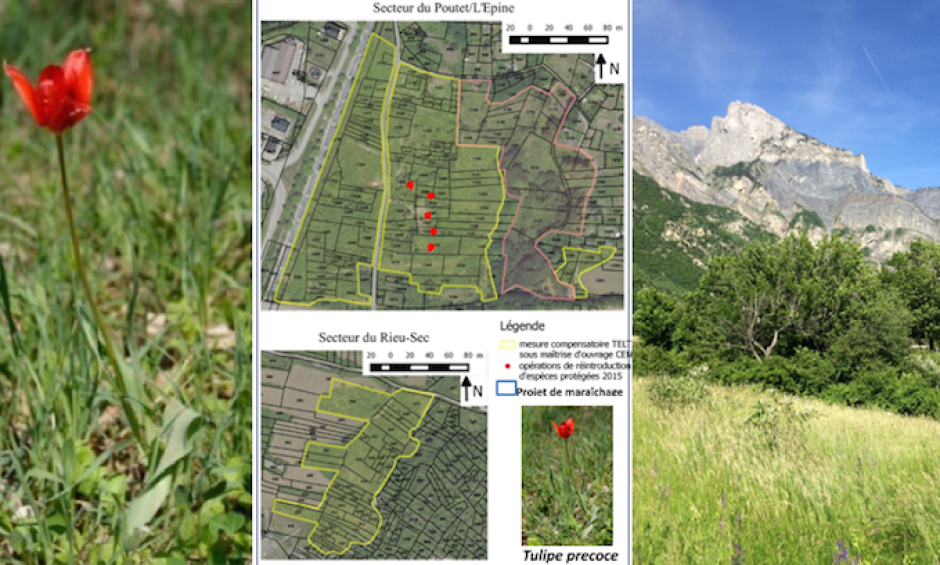 Saint-Julien-Montdenis